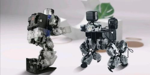 機器人中的diy,成就滿滿