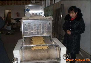 微波大豆脫腥機(jī) 專業(yè)廠家定做毛豆黃豆脫腥設(shè)備 價格 圖片